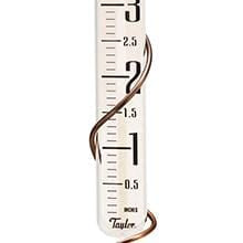 Glass rain gauge with copper cap and copper coil in a garden setting with colorful flowers in the background