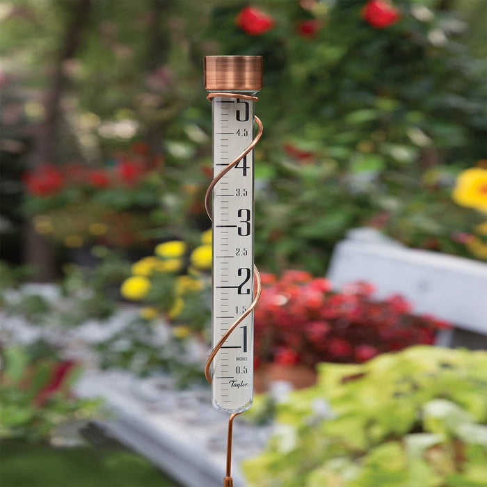 Close up of glass rain gauge with copper cap and coil against a blurred garden background
