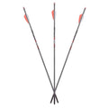 Axe .166 Micro Diameter Carbon Crossbow Bolt 19 Orange Pack of 6