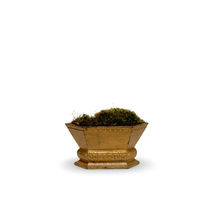 Brass cast-iron urn planter with dark green moss and textured gold finish