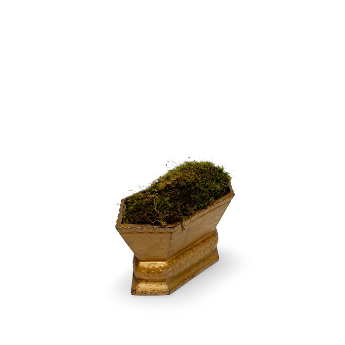 Brass cast-iron urn planter, angled view, dark green moss on textured gold surface