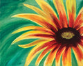 Bright Petals