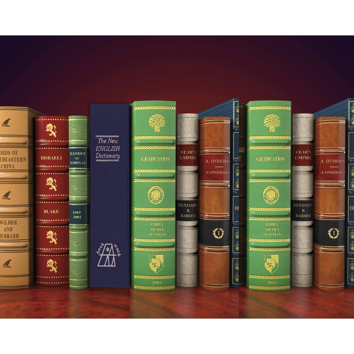 Bulldog Cases Book Diversion Vault with Combination Lock Brown