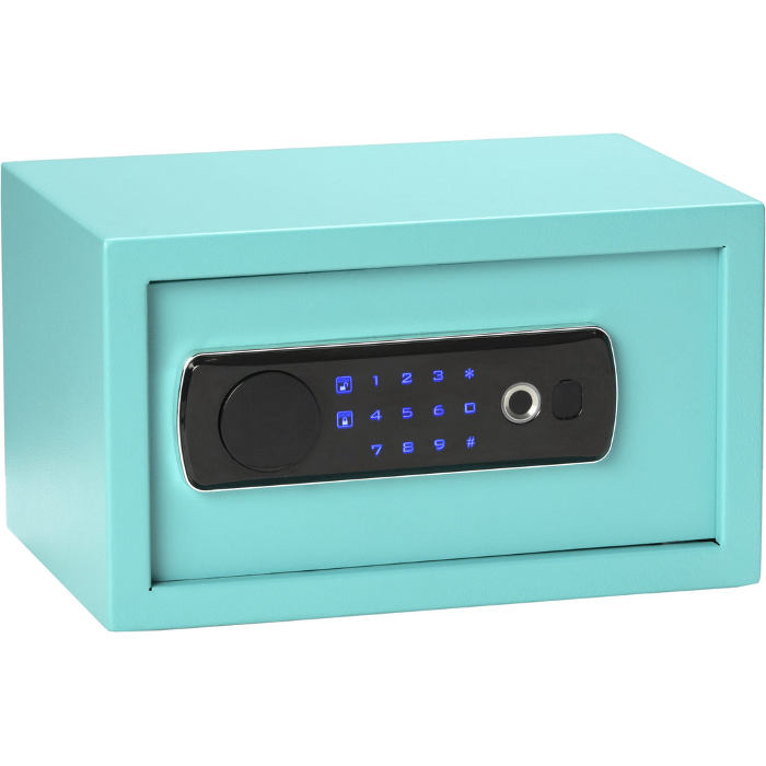 Bulldog Cases Duo LED/Biometric Vault with Biometric Lock Black
