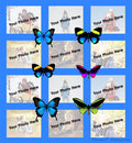 Butterfly Collage Throw