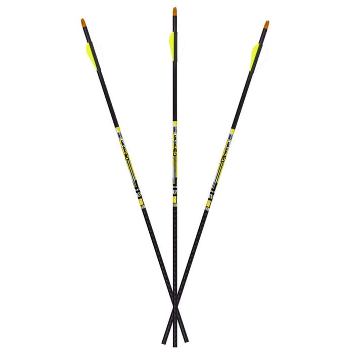 Carbon Express D-Stroyer Carbon Arrows 400 Spine 32" Pack of 6