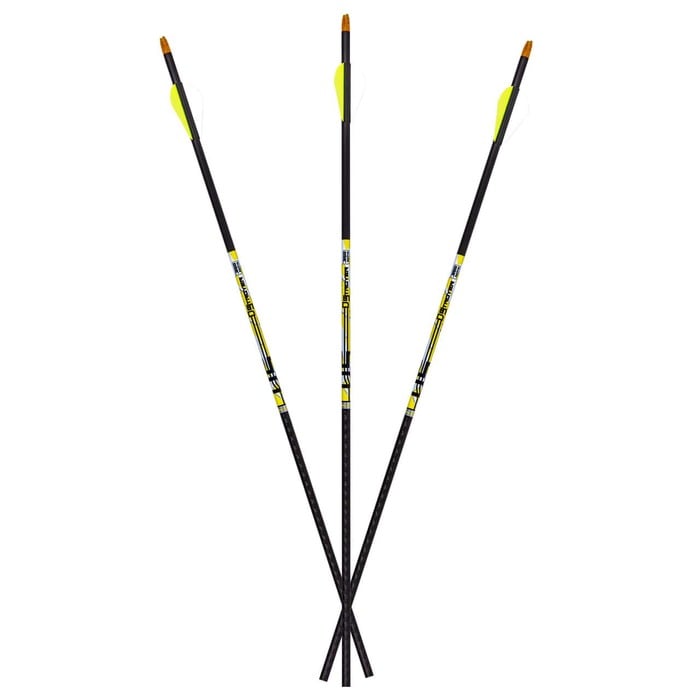 Carbon Express D-Stroyer Carbon Arrows 500 Spine 32" Pack of 6