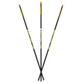 Carbon Express D-Stroyer Carbon Arrows 500 Spine 32" Pack of 6