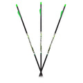 Carbon Express D-Stroyer Piledriver Carbon Arrows 400 Spine 32" Pack of 6