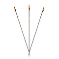 Carbon Express Maxima  Carbon Arrows 350 Spine 32" Pack of 6