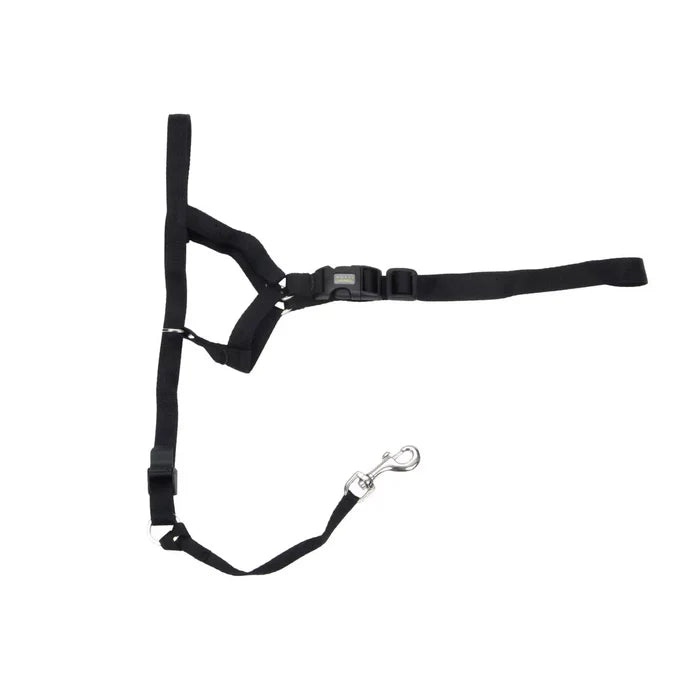Coastal Pet Walk 'n Train! Dog Head Halter