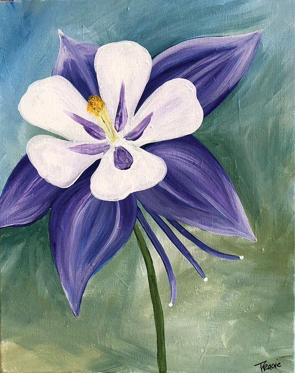 Colorado Bloom