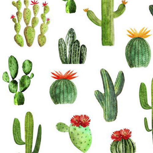 Cowboy Up Cactus White Cotton Fabric