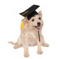 Dog Graduation Hat