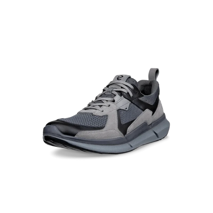 Ecco Biom 2.2 Leather Men
