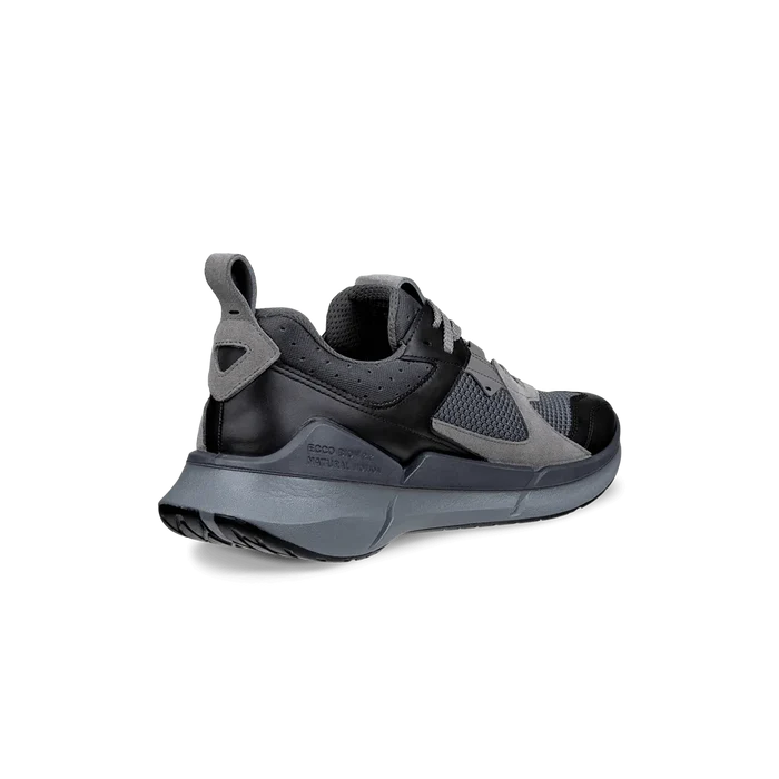 Ecco Biom 2.2 Leather Men