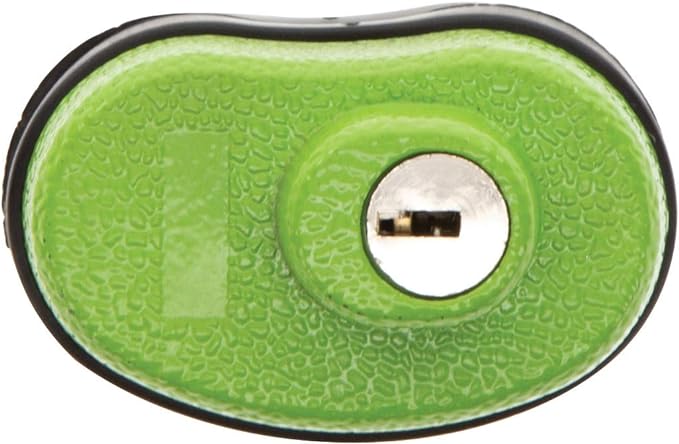 Lockdown Keyed Trigger Lock