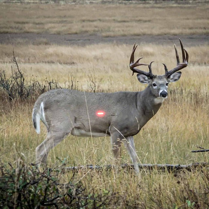 Nockturnal S Lighted Nock Red (.244 Diameter) Pack of 3
