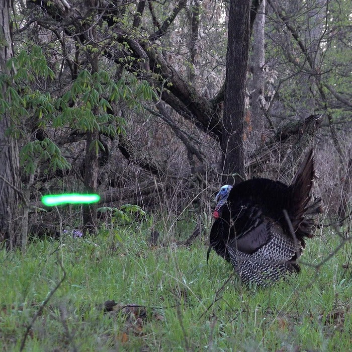 Nockturnal X Lighted Nock Red (.204 Diameter) Pack of 3