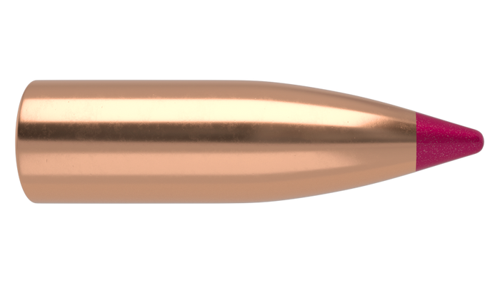 Nosler .204 Diameter 32 Grain Polymer Tip Ballistic Tip 100 Count Bullets