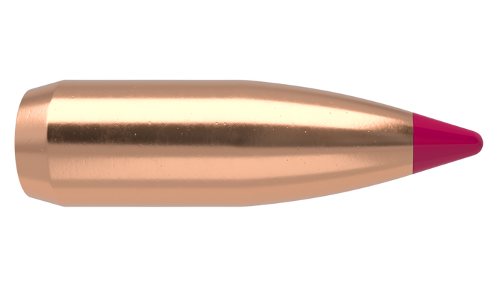 Nosler .204 Diameter 40 Grain Polymer Tip Ballistic Tip 100 Count Bullets