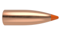 Nosler .224 Diameter 40 Grain Polymer Tip Ballistic Tip 100 Count Bullets
