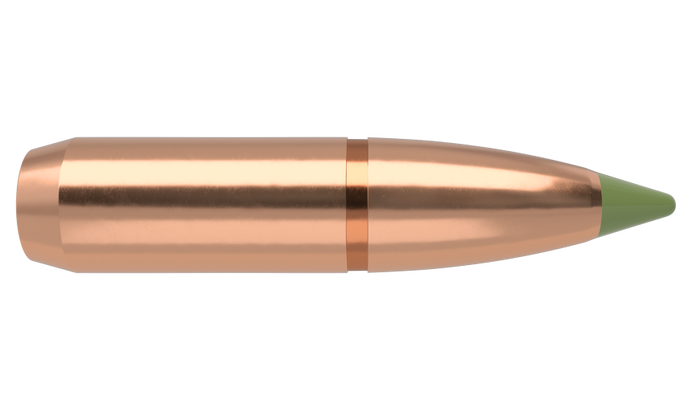 Nosler .308 Diameter 180 Grain Polymer Tip E-Tip 50 Count Bullets