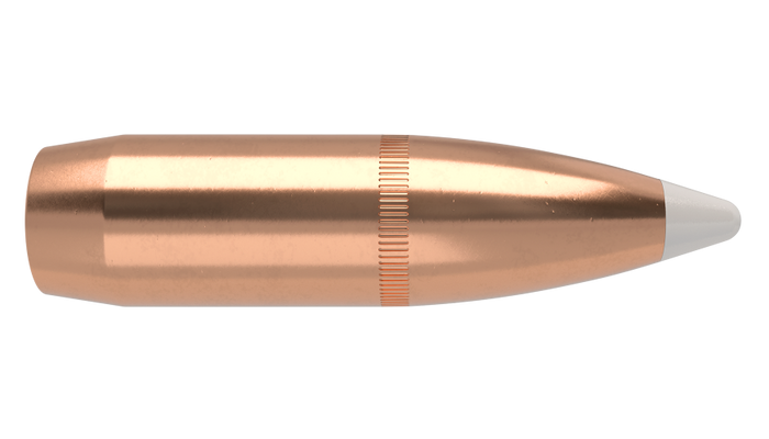 Nosler .375 Diameter 300 Grain Polymer Tip AccuBond 50 Count Bullets
