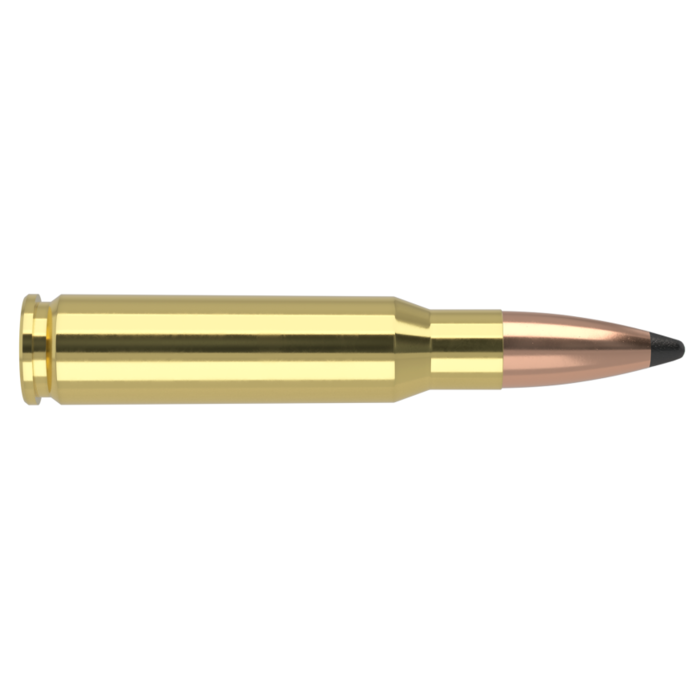 Nosler Ammunition 30-30 Winchester 150 Grain Solid Base Round Nose Boattail 20 Count