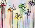 Painted Daisies