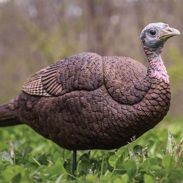 Primos Lil Gobstopper Hen Turkey Decoy