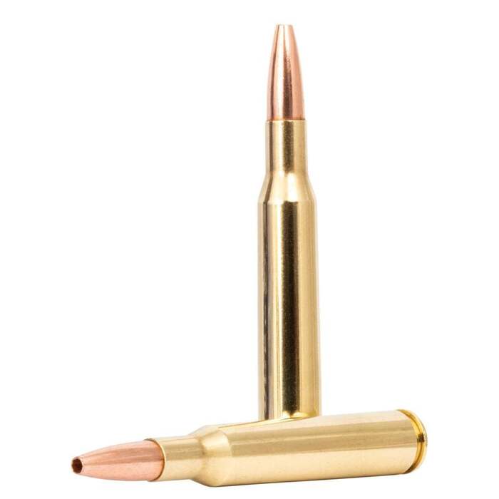 Remington Ammunition 270 Winchester Copper Hollow Point 130 Grain 20 Count
