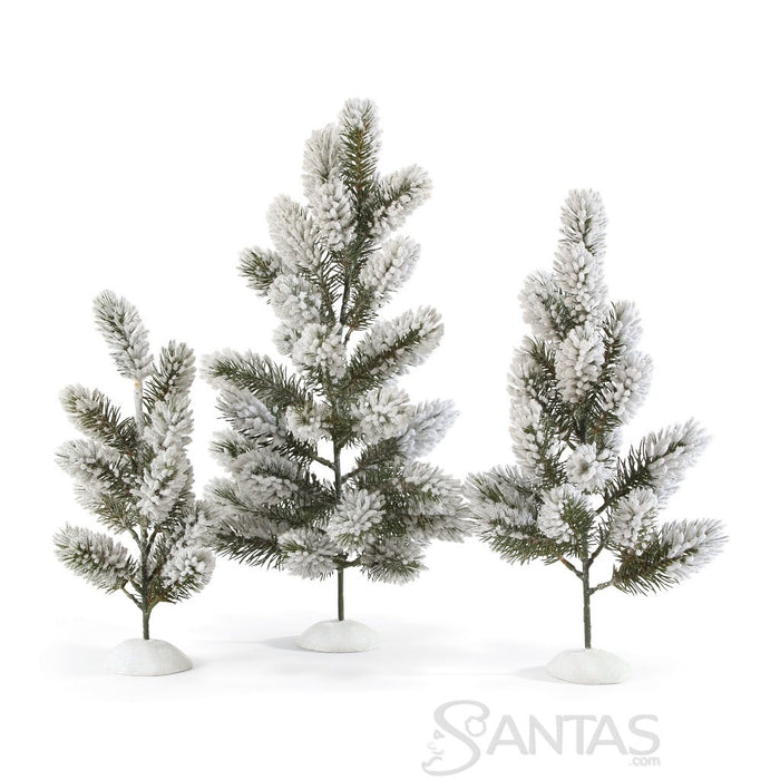 Rustic Pine Trees Possible Dreams