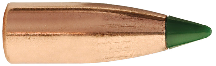 Sierra .204 Diameter 32 Grain Polymer Tip BlitzKing Bullets