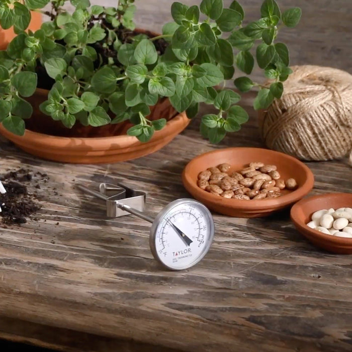 Herb plant in a clay pot with bowls of nuts on a rustic wooden table and a Taylor soil thermometer in the foreground