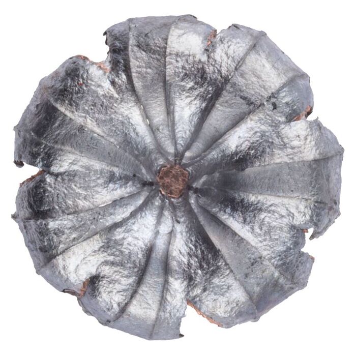 Speer Ammunition 357 Magnum Hollow Point 135 Grain 20 Count