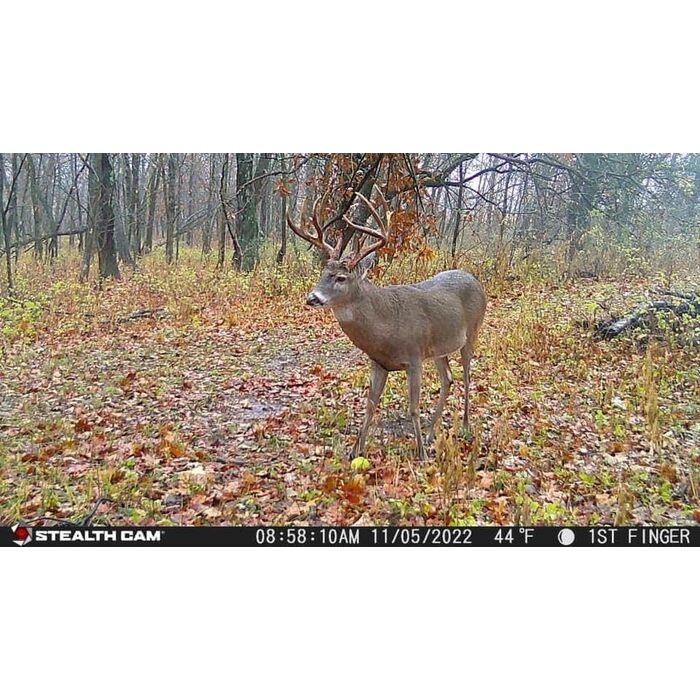 Stealth Cam  Fusion X Pro Trail Camera 36 MP Gray