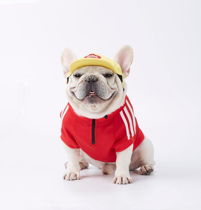 Stripe Sleeve Athletic Pet Pullover