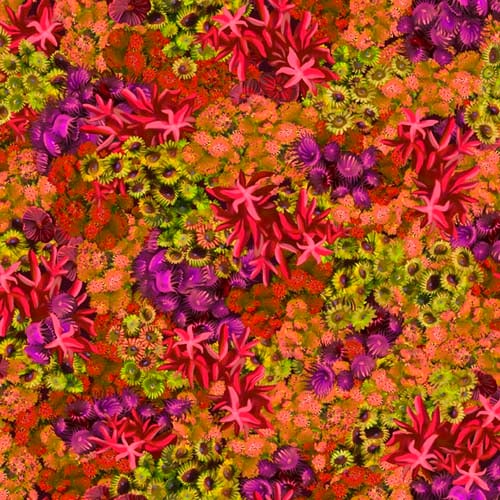 Treasures at Sea Coral Cotton Fabric
