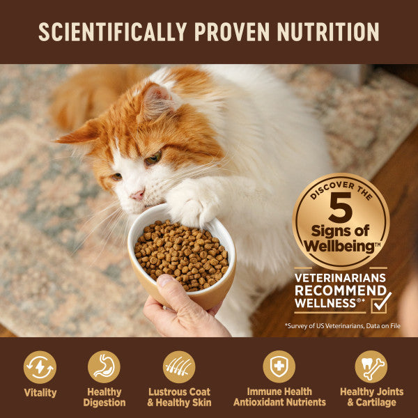Wellness CORE Grain Free Kitten Deboned Turkey, Turkey Meal & Deboned Chicken